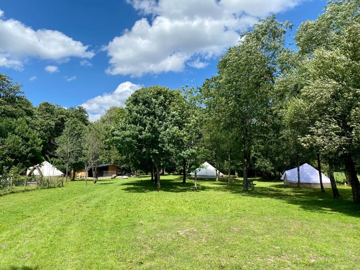 River View Glamping Hotel Llandovery Exterior photo